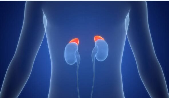 11C Metomidate: A Breakthrough in Diagnosing Aldosterone-Producing Adenomas